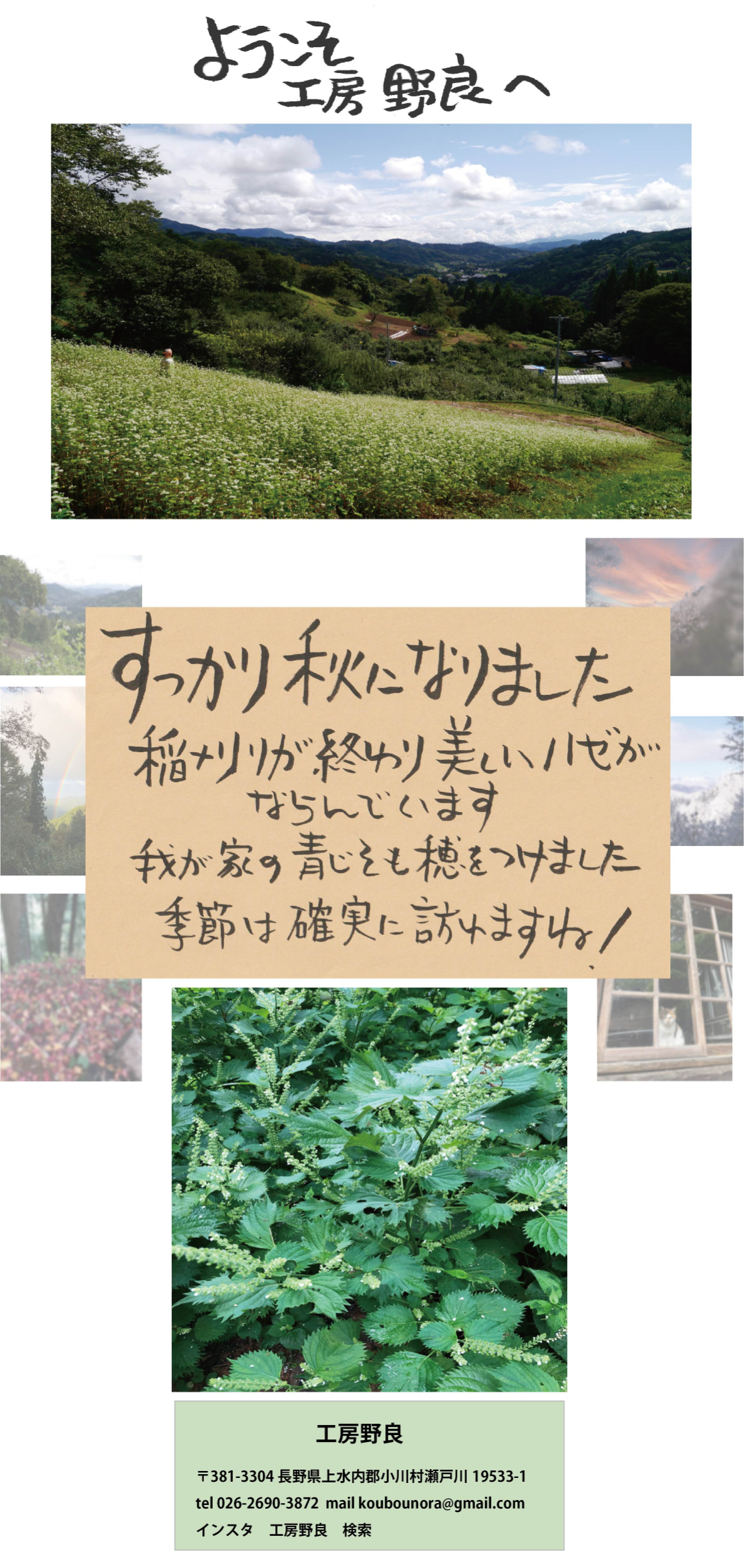 ようこそ工房野良へ